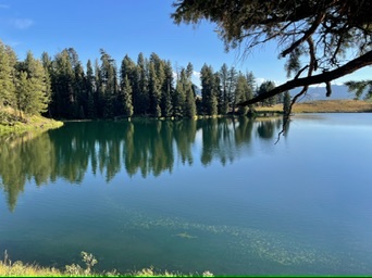 Yellow Stone, USA National Parks